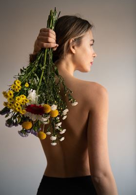 modelbook image no. 140676