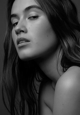 modelbook image no. 126600