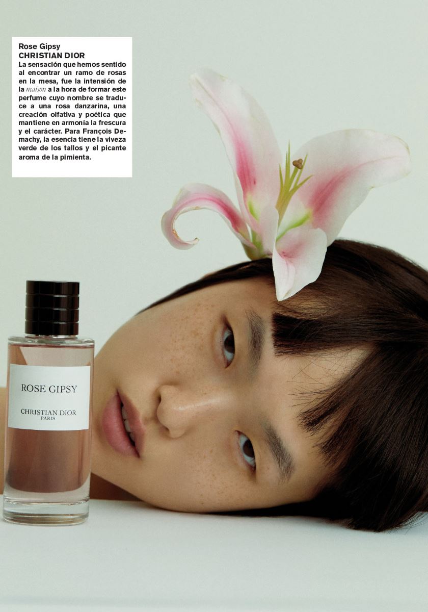modelbook image no. 148624