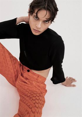 modelbook image no. 180391