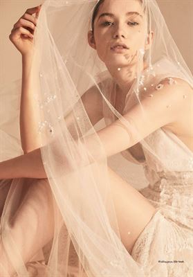 modelbook image no. 204157